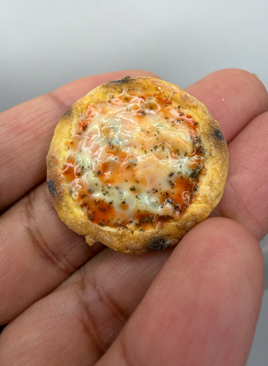 La Pizz  Miniature Pizza ·  1:12 Dollhouse Piece or Fridge Magnet
